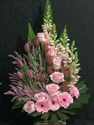 Image chosen by user