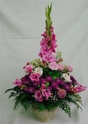 Image chosen by user