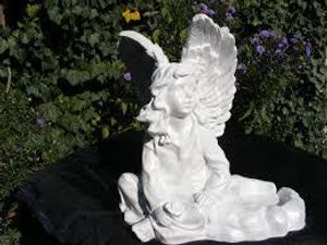 Image chosen by user