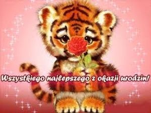 Obrazek wybrany przez użytkownika