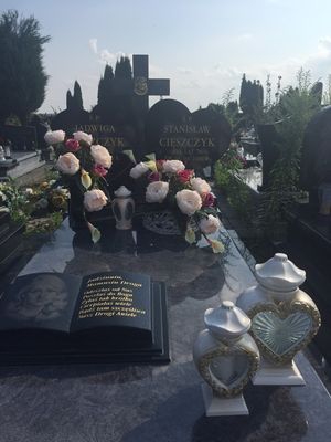 Obrazek wybrany przez użytkownika