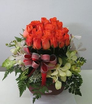Image chosen by user