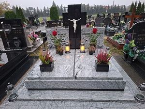 Image chosen by user