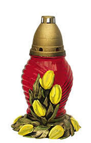 Image chosen by user