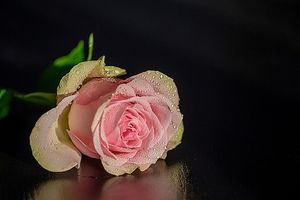 Image chosen by user