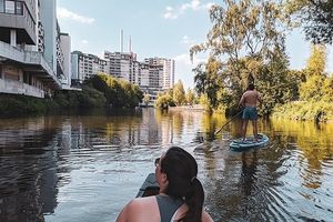 Obrazek wybrany przez użytkownika