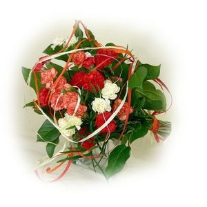 Image chosen by user