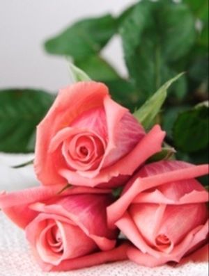 Image chosen by user
