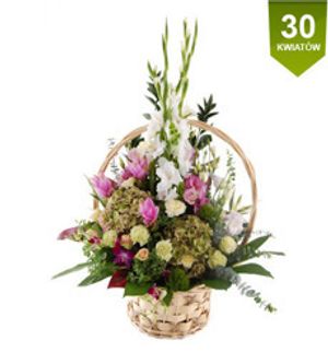 Image chosen by user
