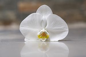 Image chosen by user