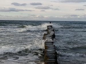 Obrazek wybrany przez użytkownika