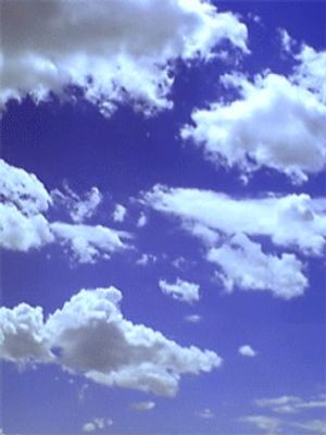 Image chosen by user