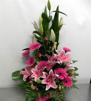 Image chosen by user
