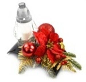 Image chosen by user