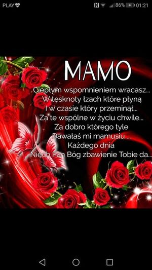 Obrazek wybrany przez użytkownika