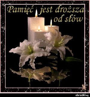 Obrazek wybrany przez użytkownika