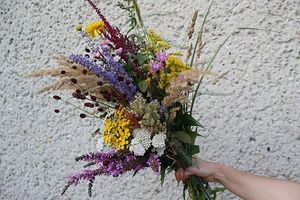 Image chosen by user