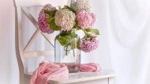 Image chosen by user