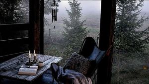 Image chosen by user