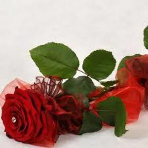 Image chosen by user