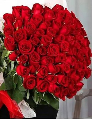 Image chosen by user
