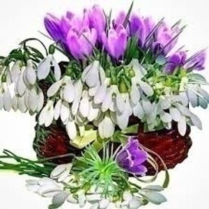 Image chosen by user