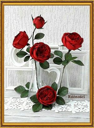 Image chosen by user