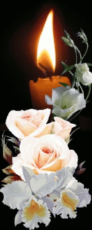 Image chosen by user
