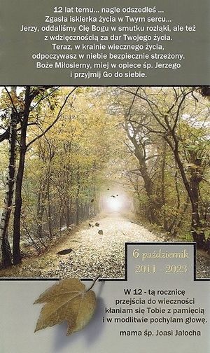 Obrazek wybrany przez użytkownika