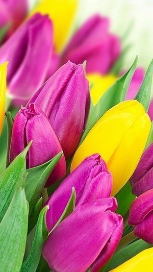 Image chosen by user