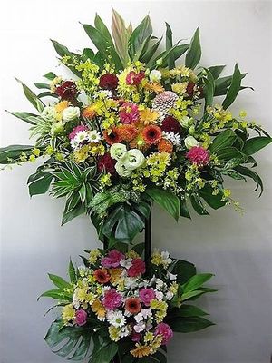 Image chosen by user