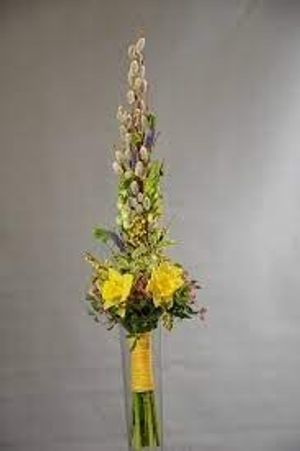 Image chosen by user