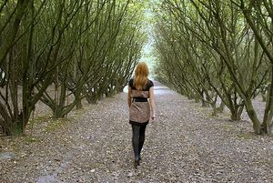 Image chosen by user