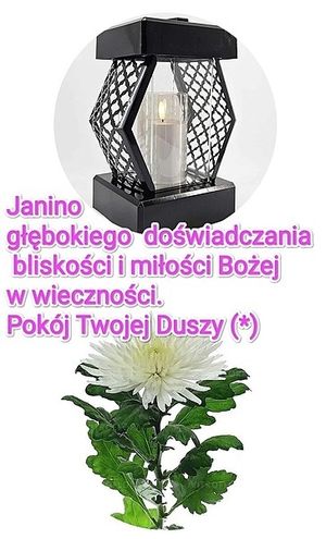 Image chosen by user