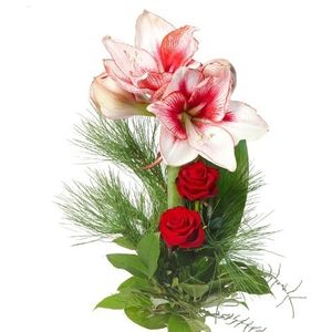 Image chosen by user
