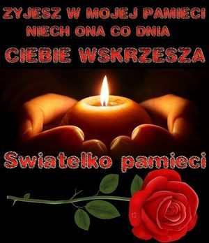 Obrazek wybrany przez użytkownika