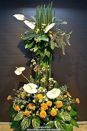 Image chosen by user