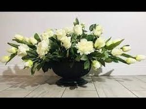 Image chosen by user