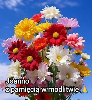 Obrazek wybrany przez użytkownika