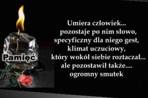 Obrazek wybrany przez użytkownika