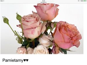 Image chosen by user
