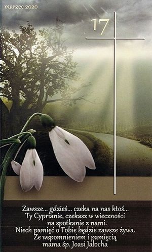Image chosen by user