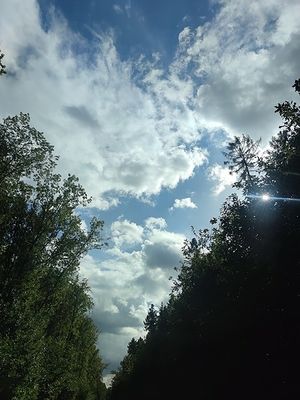Image chosen by user
