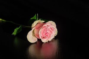 Image chosen by user