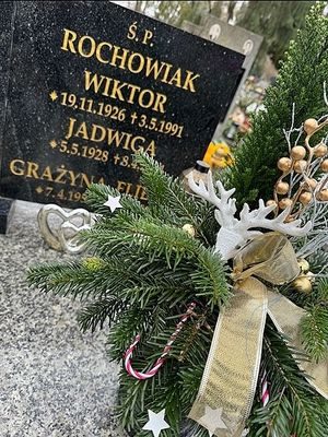 Obrazek wybrany przez użytkownika