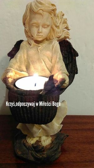 Image chosen by user