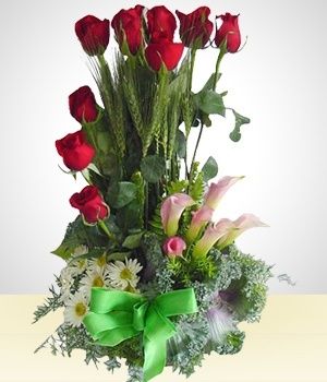 Image chosen by user