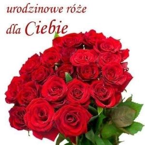 Obrazek wybrany przez użytkownika