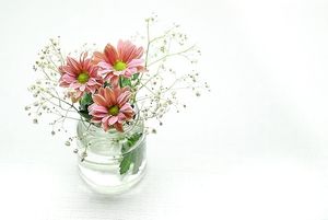 Image chosen by user