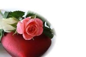Image chosen by user